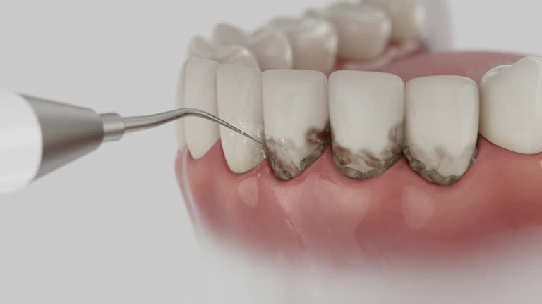 Reliable Dental contractor in Huntington, UT by Dentist Open Now